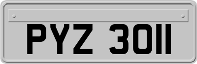 PYZ3011