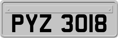 PYZ3018