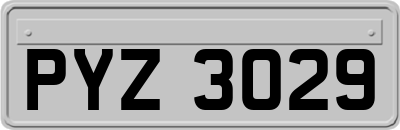 PYZ3029