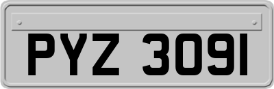 PYZ3091