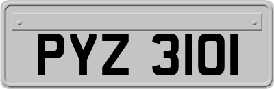 PYZ3101