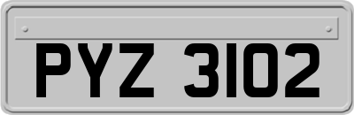 PYZ3102