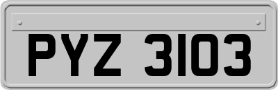 PYZ3103
