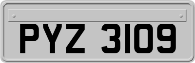 PYZ3109