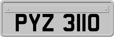 PYZ3110