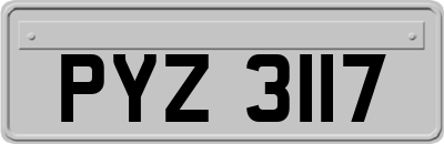 PYZ3117