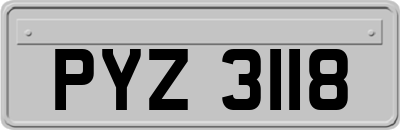 PYZ3118
