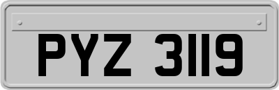 PYZ3119