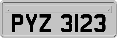 PYZ3123