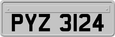 PYZ3124
