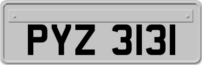 PYZ3131