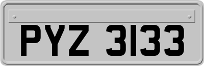 PYZ3133