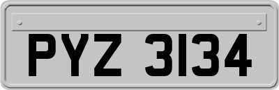 PYZ3134