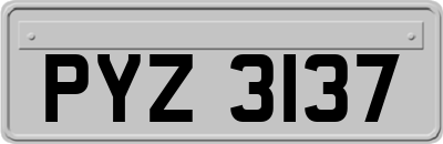 PYZ3137