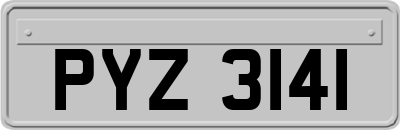 PYZ3141