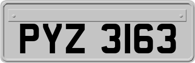 PYZ3163