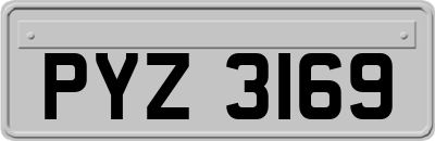 PYZ3169