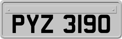 PYZ3190