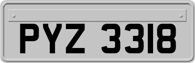 PYZ3318