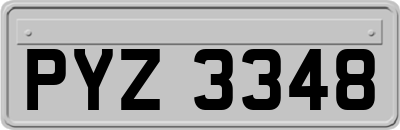 PYZ3348