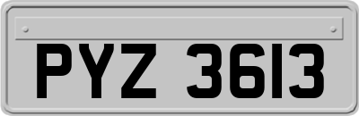 PYZ3613