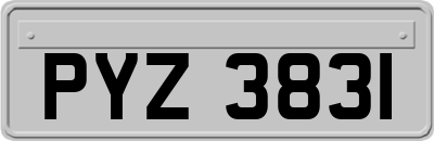 PYZ3831