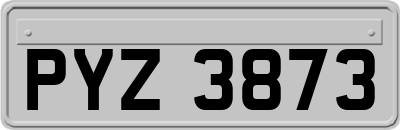 PYZ3873