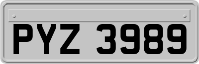 PYZ3989