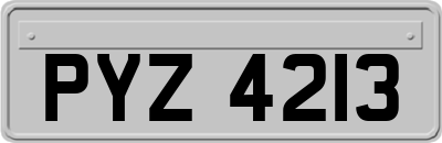 PYZ4213