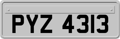 PYZ4313