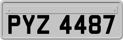 PYZ4487