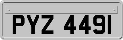 PYZ4491