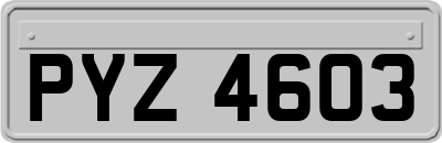 PYZ4603
