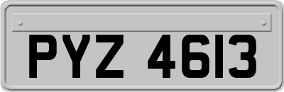PYZ4613