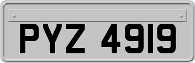 PYZ4919