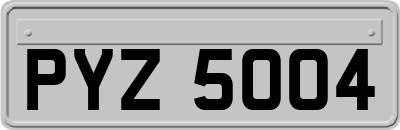 PYZ5004
