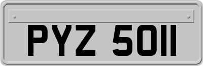 PYZ5011