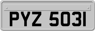 PYZ5031
