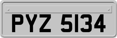 PYZ5134