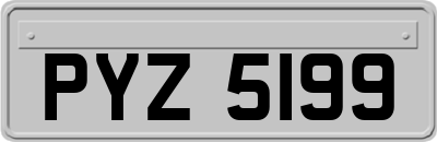 PYZ5199