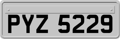 PYZ5229