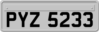 PYZ5233
