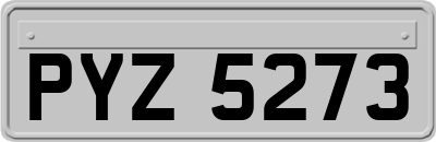 PYZ5273
