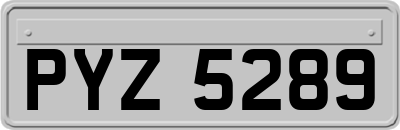 PYZ5289