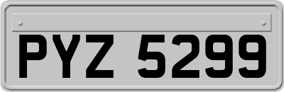 PYZ5299