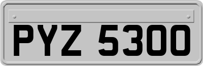 PYZ5300