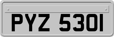 PYZ5301