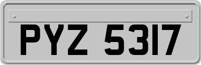 PYZ5317