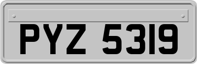 PYZ5319