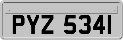 PYZ5341